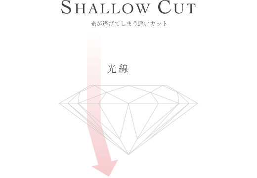 SHALLOW CUT