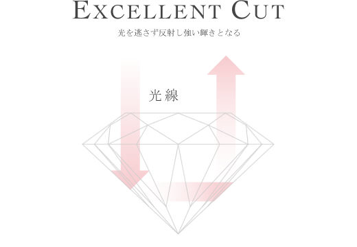 EXCELLENT CUT