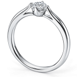 ring_img_antiare01