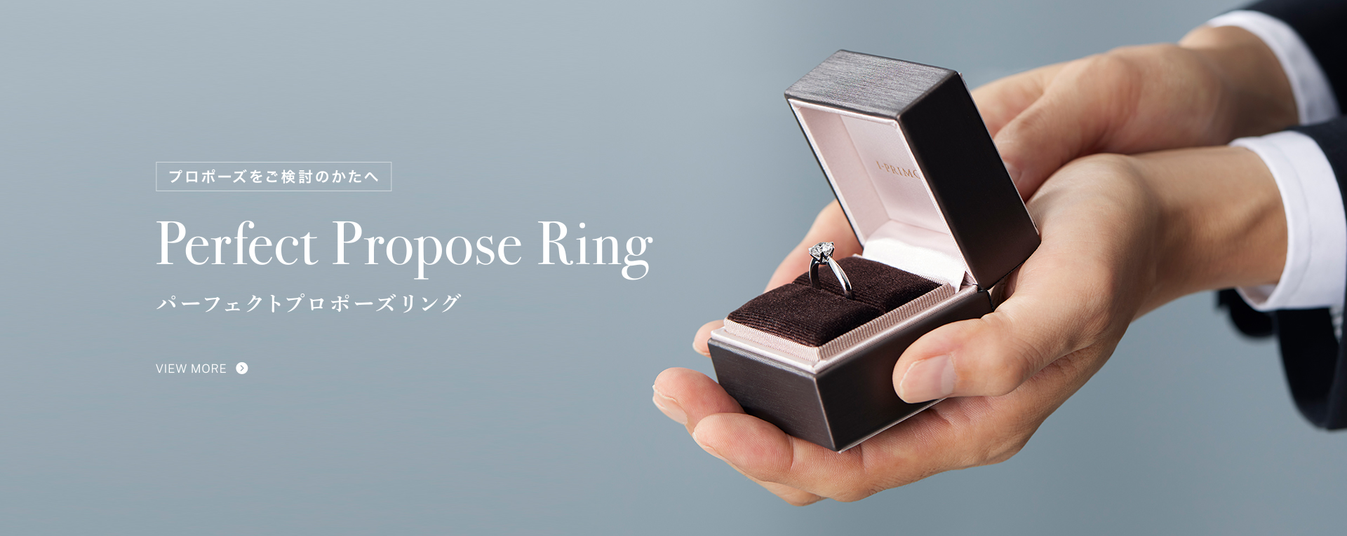 Perfecrt Propose Ring
