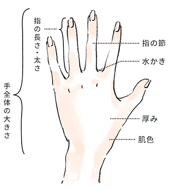 自分の手の特徴を知る