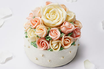 プロポーズケーキ　Special