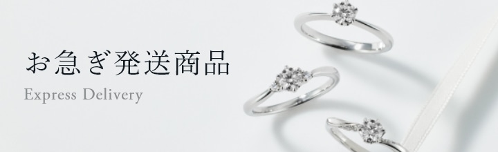 お急ぎ商品