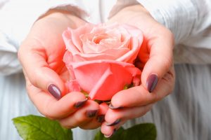 薔薇（バラ）の花言葉は？本数・色・部位ごとの意味など詳しくご紹介！_8