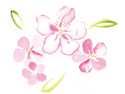 桜イメージ