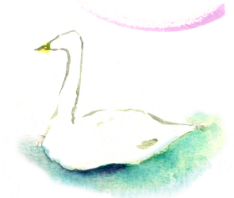 白鳥イメージ