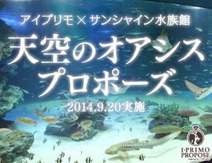 ふたりの始まりの場所でもう一度<br>ロマンチックな水族館プロポーズ