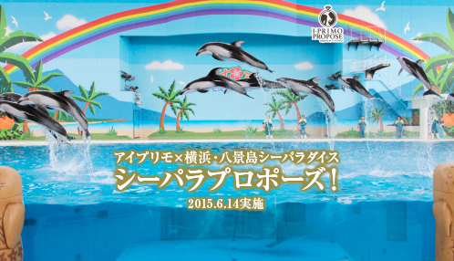 海の動物たちがみんなで応援してくれる水族館での公開サプライズプロポーズ企画。出演者募集中！