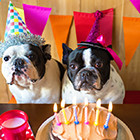 みんなどんなタイミングでプロポーズをしているの！？