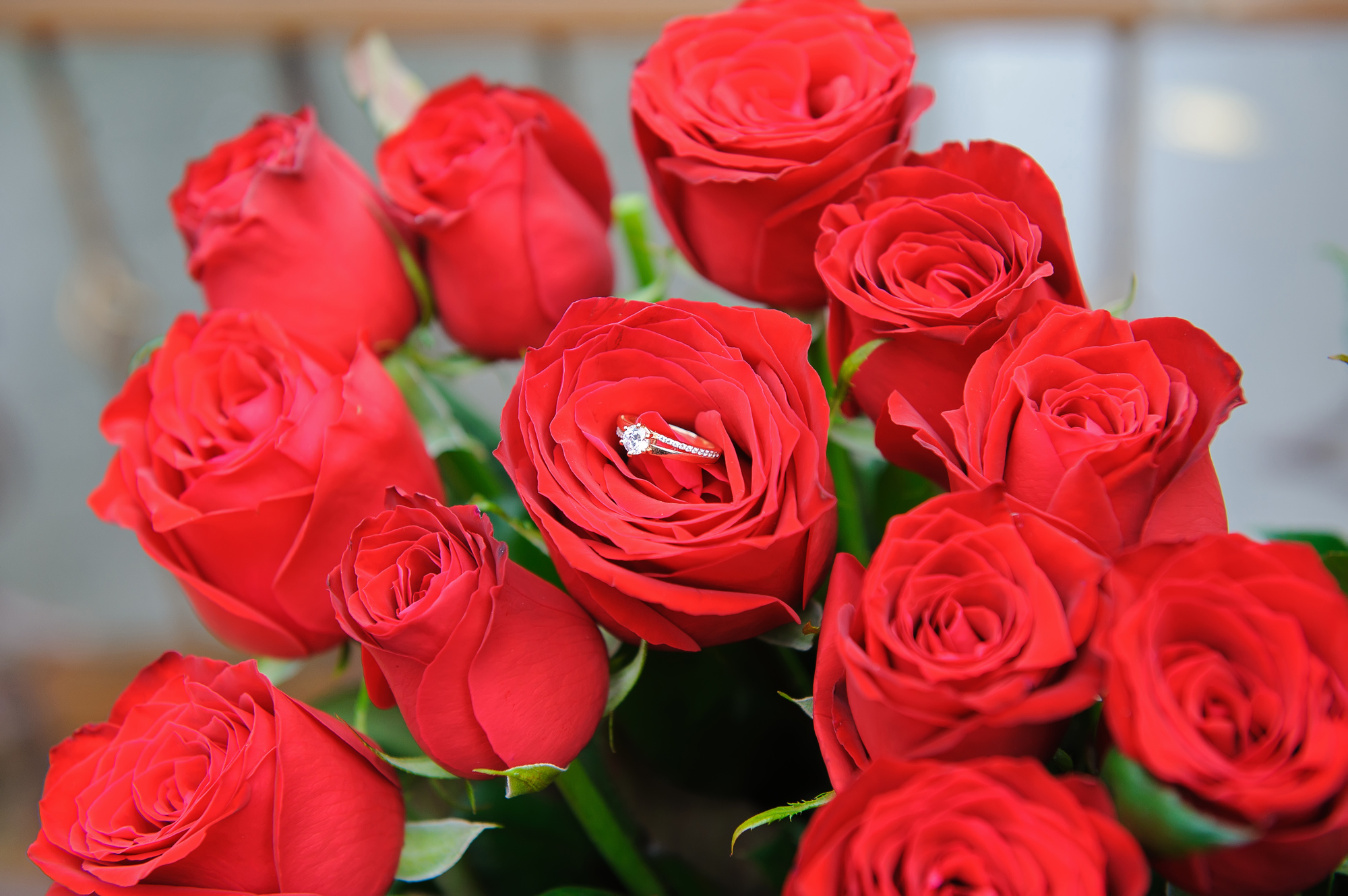 バラの花束は何本 プロポーズにピッタリな花言葉とは プロポーズ準備室 最高のプロポーズを知って相談できるサイト