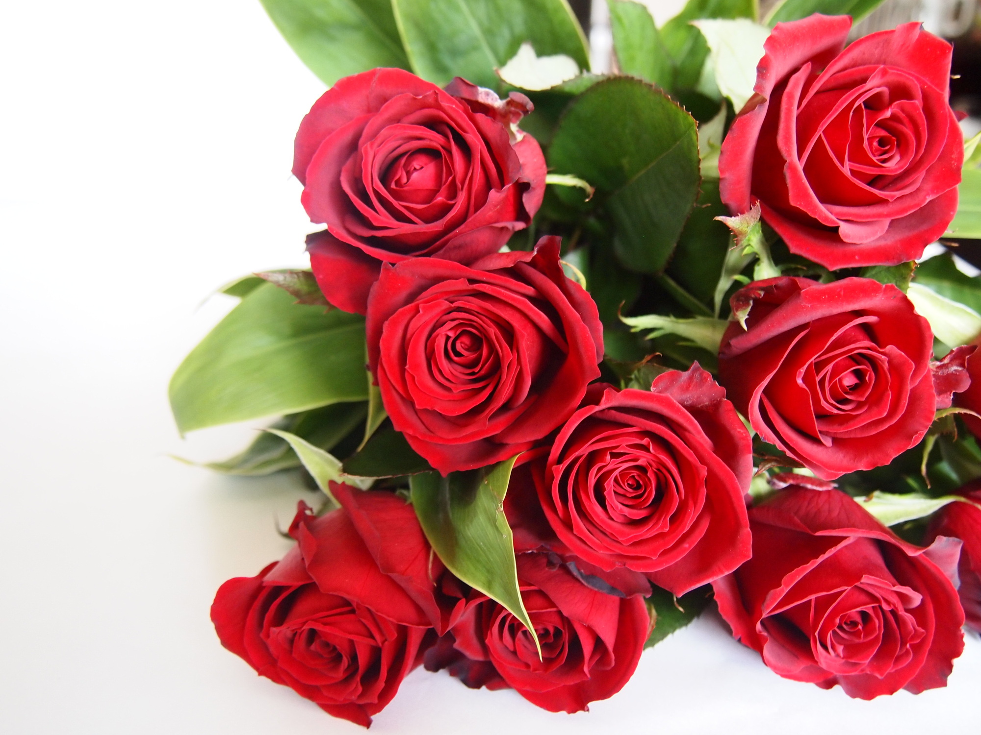 プロポーズにはバラの花束を 気持ちを花で伝えよう プロポーズ準備室 最高のプロポーズを知って相談できるサイト