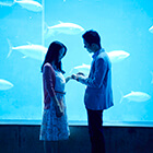 プロポーズ後の流れ・事前に話し合っておきたいことをご紹介