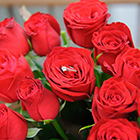 バラの花束は何本？プロポーズにピッタリな花言葉とは？