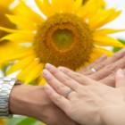 花束でプロポーズを成功させる秘訣！ひまわりの花言葉知っていますか？