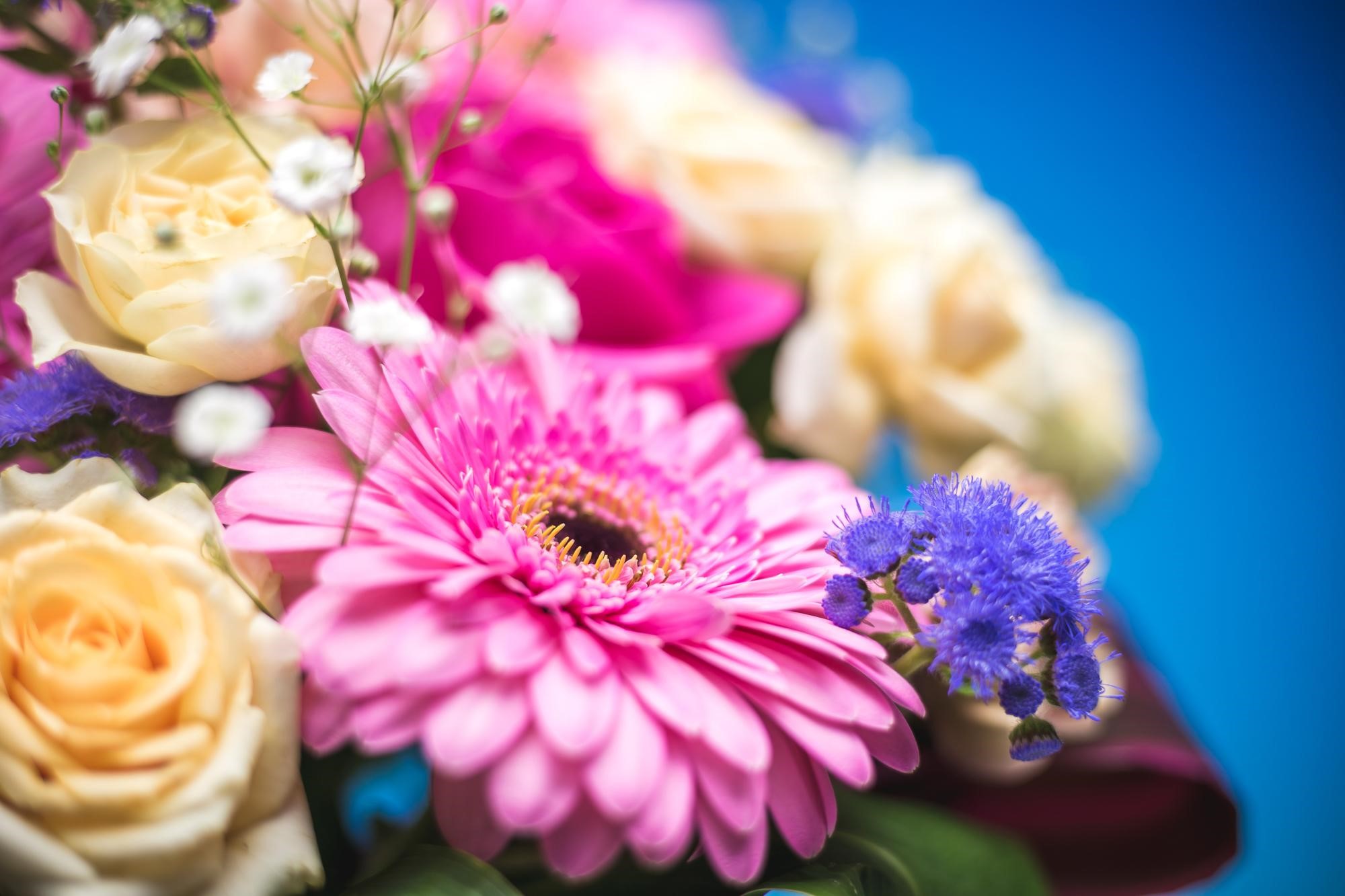 プロポーズに最適な花束って 絶対に失敗しない花言葉10選 プロポーズ準備室 最高のプロポーズを知って相談できるサイト