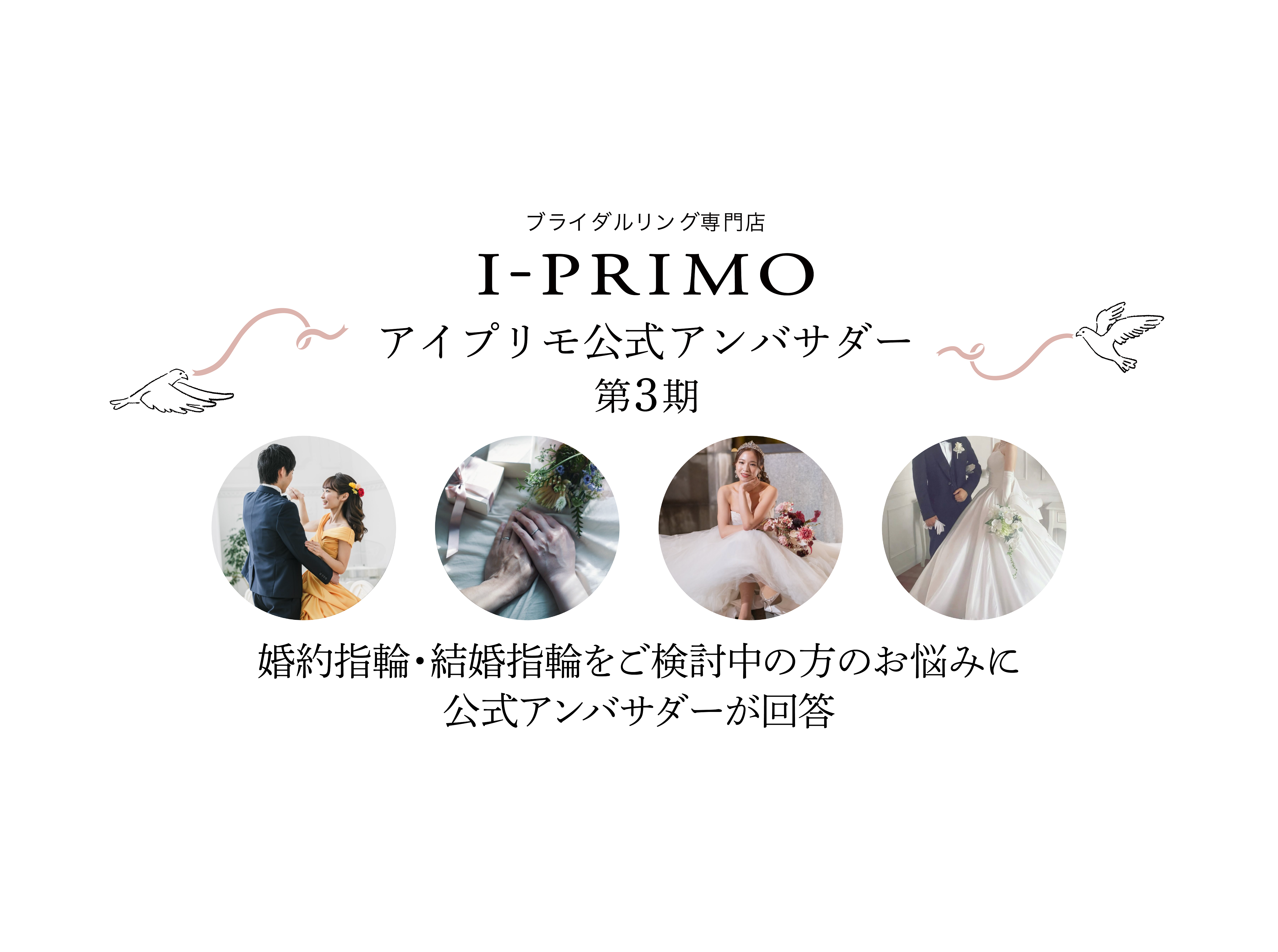 アイプリモ公式アンバサダー第3期の皆さんにプレ花嫁さんからの質問にお答えいただきました!
